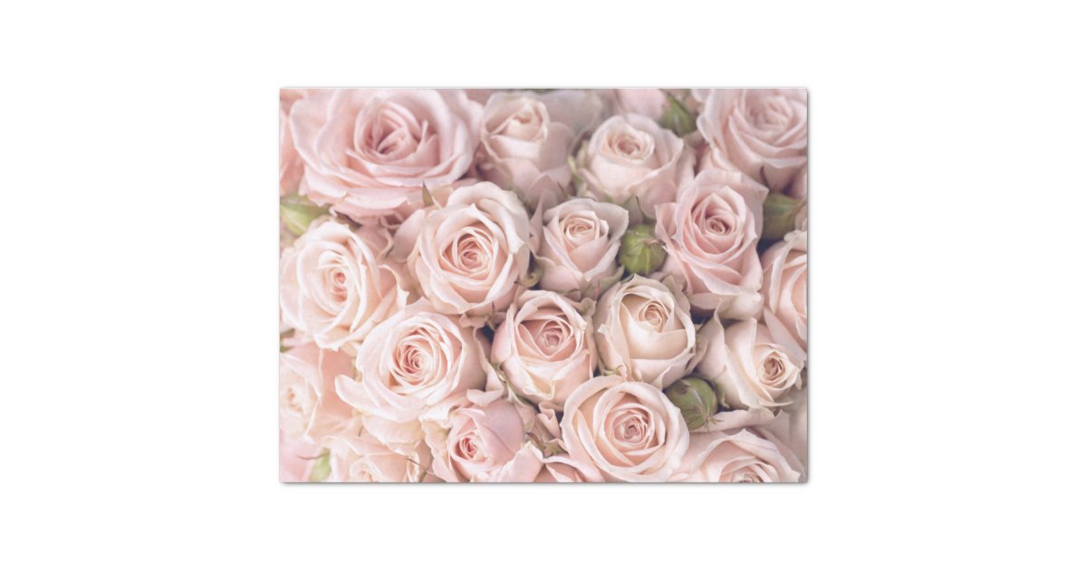 Blush Pink Roses Tissue Paper | Zazzle.com