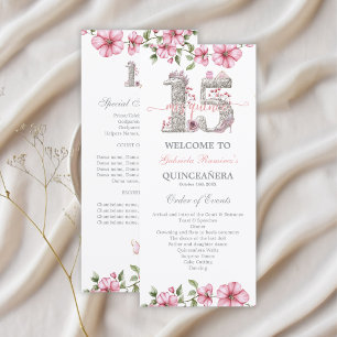 Blush Pink Silver Mis Quince Quiñceanera