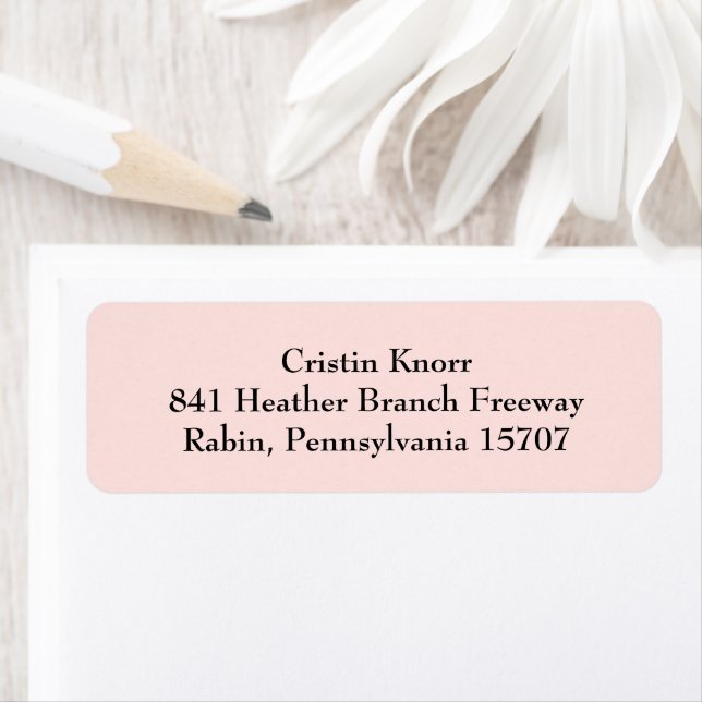 Blush Pink Simple Plain Return Address Labels (Insitu)