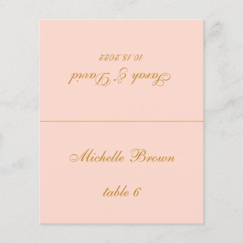 Blush Pink Wedding Place Card _ Printed Guest Name