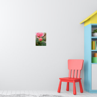 Blush Promise: The Unfolding Rose Poster