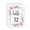 Blush & Rose Gold Table Number Seating Chart