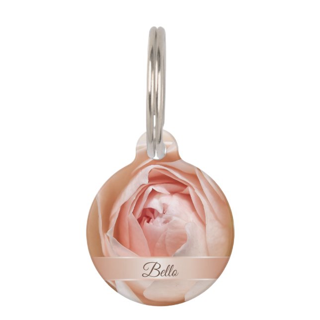 Blush Rose Rose Gold Pet ID Tag (Front)