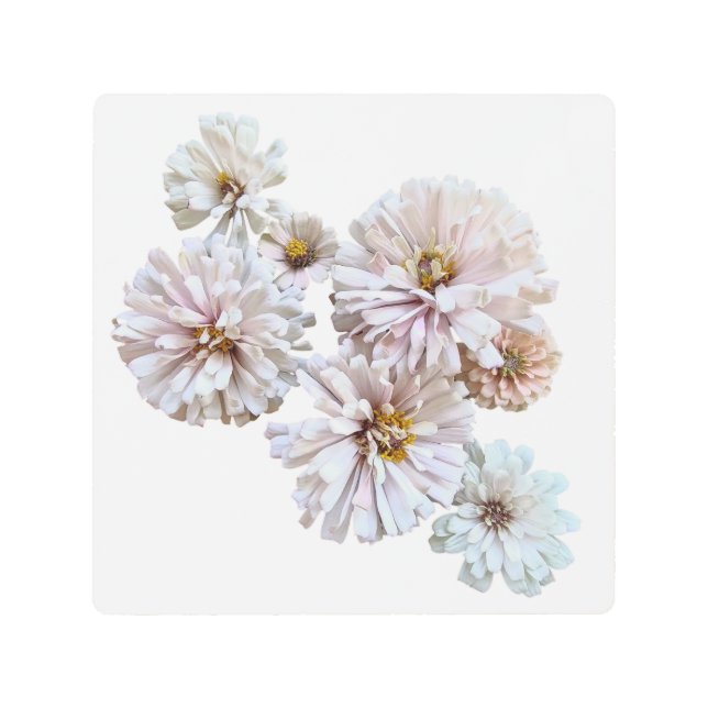 Blush Zinnias Collage Metal Wall Art (Front)
