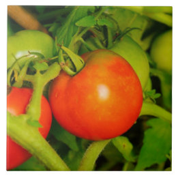 Blushing Beauties Kitchen Tile/Trivet Tile