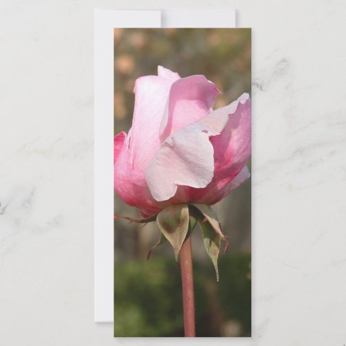 Blushing Beauty Rack CardBookmark