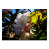 Blushing Blooms (Front Horizontal)