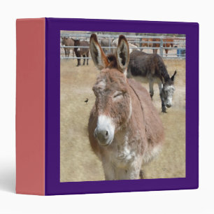Blushing Burro & Wild Birds 3 Ring Binder