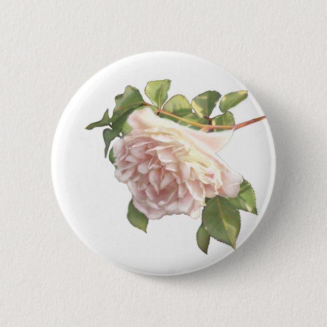 Blushing Ivory Peach Rose Button (Front)