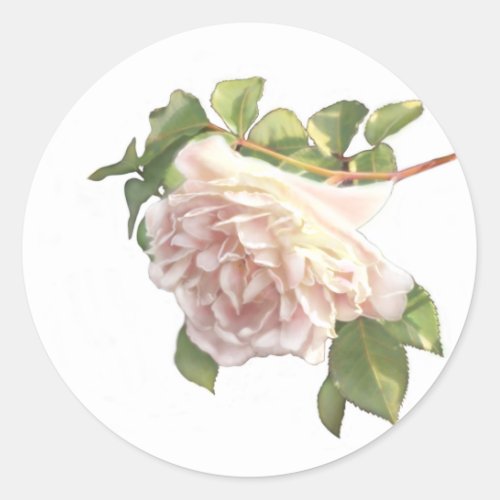 Blushing Ivory Peach Rose Classic Round Sticker