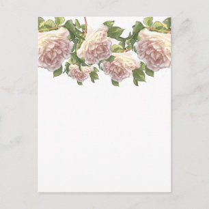Blushing Ivory Peach Rose Postcard