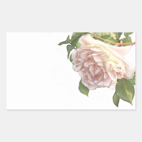 Blushing Ivory Peach Rose Rectangular Sticker