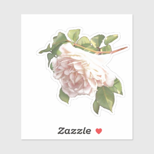 Blushing Ivory pink Peach Rose Sticker (Sheet)