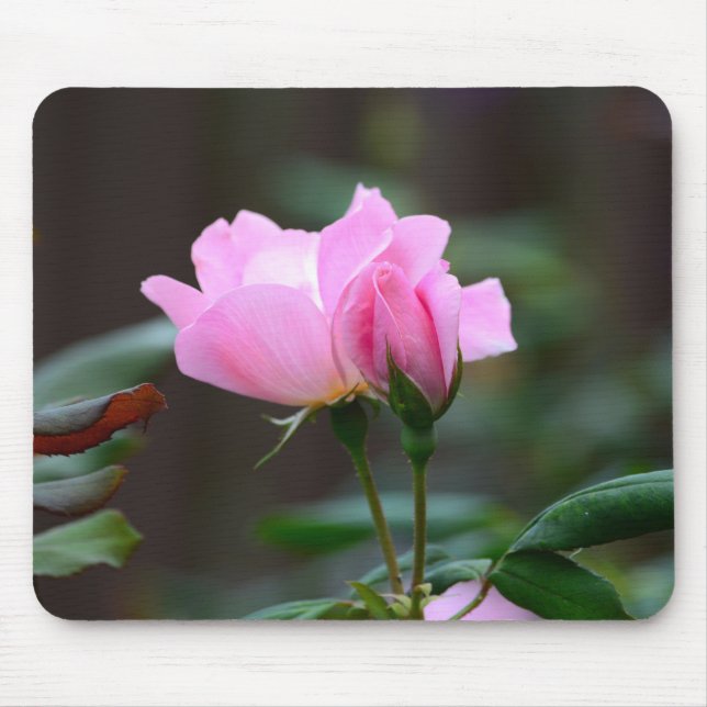 Blushing Knockout Rose Mouse Pad (Front)