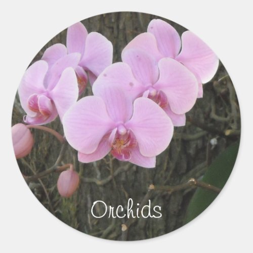 Blushing Orchids Classic Round Sticker