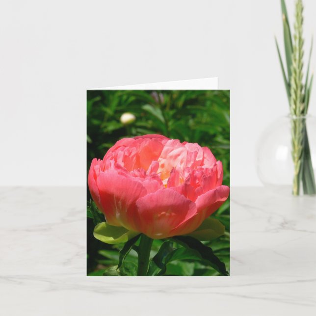 "BLUSHING PINK PEONY" NOTECARD (PHOTOG) (Front)
