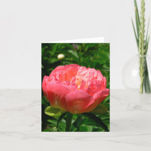"BLUSHING PINK PEONY" NOTECARD (PHOTOG)