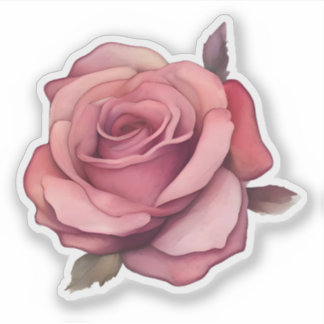 Blushing Pink Rose Sticker