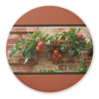 Blushing-red Apples Growing On Brick Wall