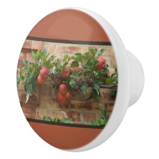 Blushing-red Apples Growing On Brick Wall