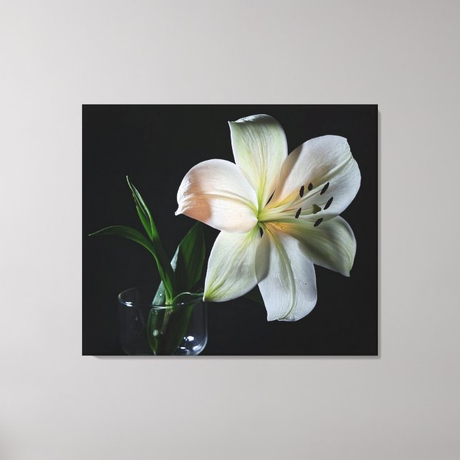 Blushing White Lily Wrapped Canvas Print (Front)