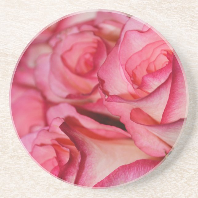 Blushing White Roses Coaster (Front)