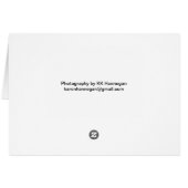 Blusing Pink Rose Cards (Back Horizontal)