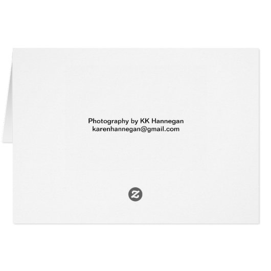 Blusing Pink Rose Cards (Back Horizontal)