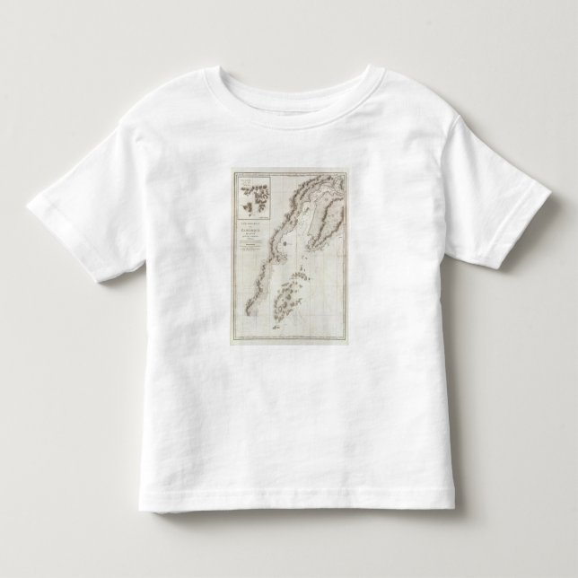 Blying Sound to Alaska Peninsula Toddler T-shirt (Front)