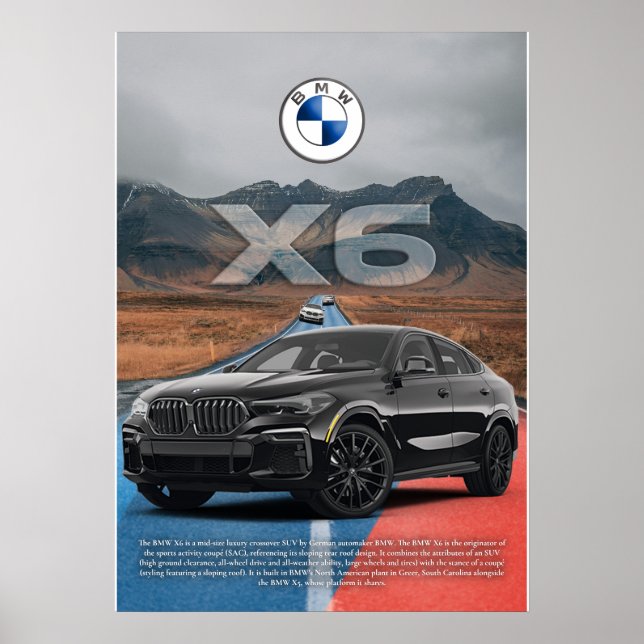 BMW X6 POSTER (Front)