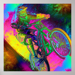 BMX 1A-1B Image Options Poster