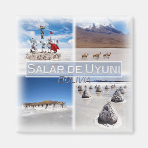 BO0023 America, South America, Bolivia, Fridge Magnet
