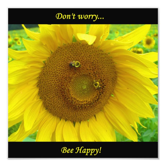 BO1050 12x12 Photo Print (Front)