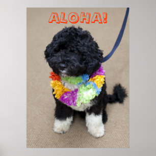 Bo Obama - Aloha Poster