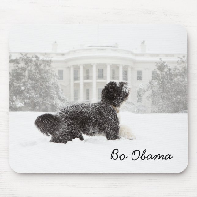 Bo Obama Mouse Pad (Front)