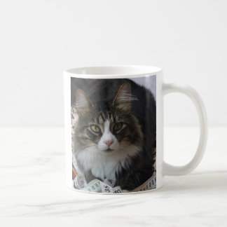 Boa Cat Coffee Mug