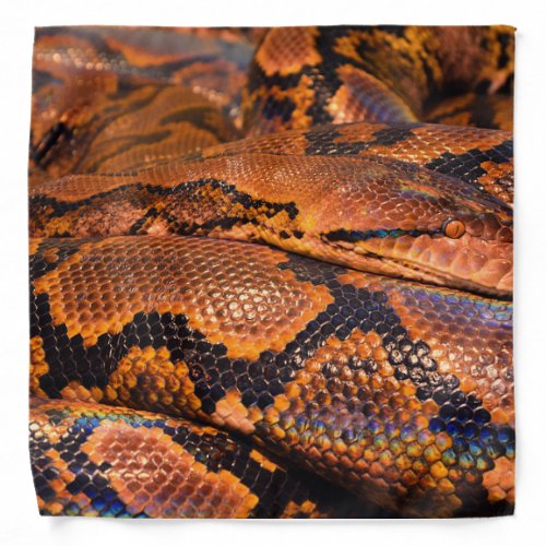 Boa Constrictor Bandana