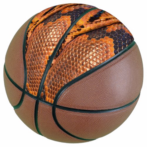 Boa Constrictor Basketball