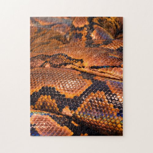 Boa Constrictor Jigsaw Puzzle