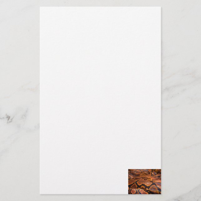 Boa Constrictor Stationery (Front)