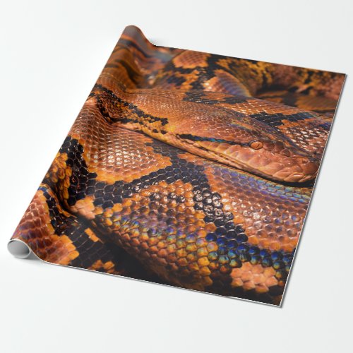 Boa Constrictor Wrapping Paper