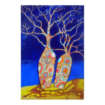 Boab Trees at Night