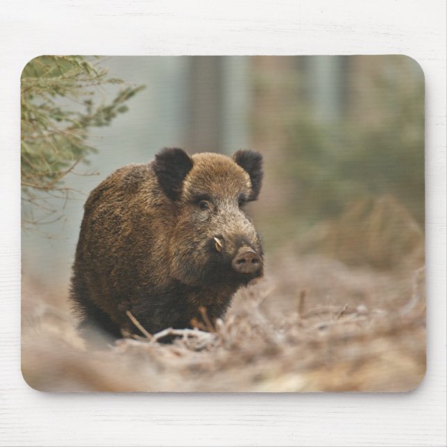 boar!! Wild Boar!!! Mouse Pad (Front)