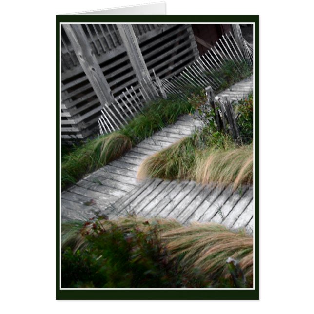 Board Walk Path Cards (Front)