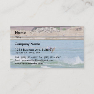 Boarding Water Surfing Business Card