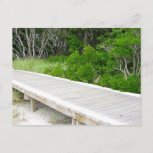 Boardwalk at Davis Park Postcard