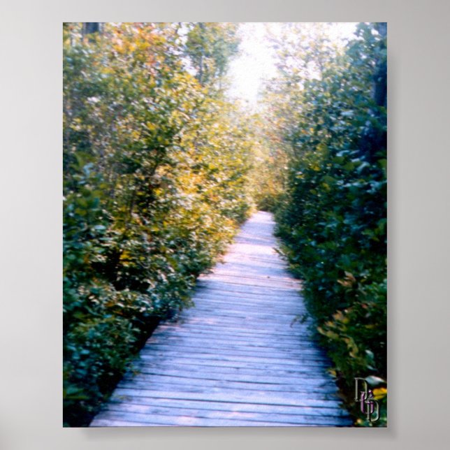 Boardwalk Poster (Front)