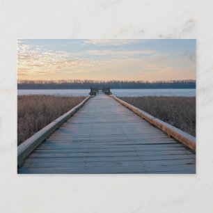 Boardwalk River and Wetlands at Sunrise Postcard
