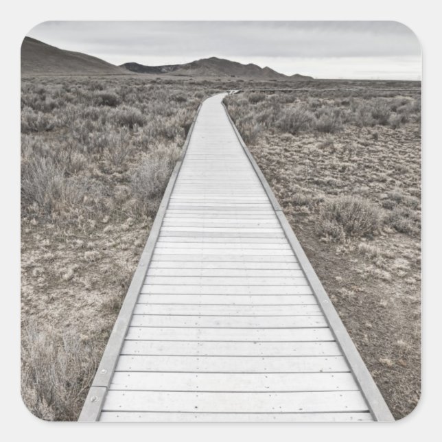 Boardwalk through the desert square sticker (Front)