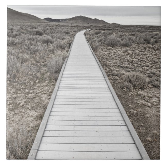 Boardwalk through the desert tile (Front)
